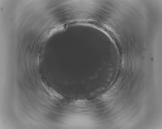 X0000088591161200706151729