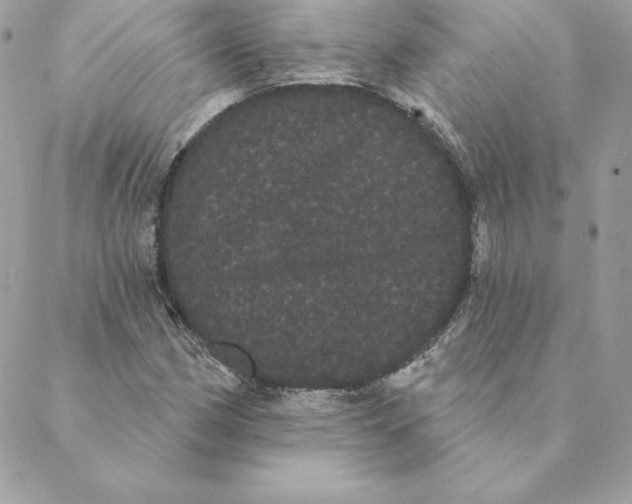 X0000088591162200706151729