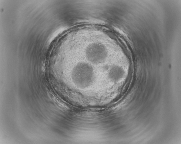 X0000088591163200706151729