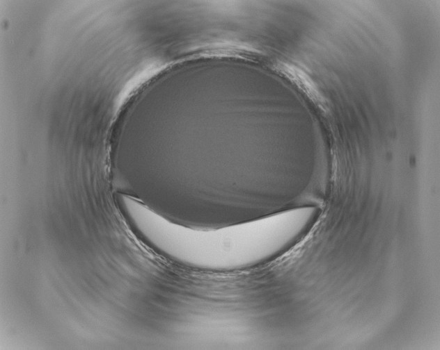 X0000088591164200706151729