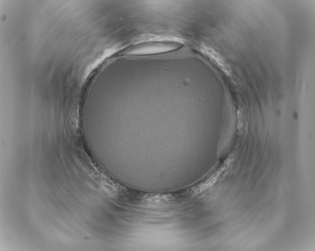 X0000088591165200706151729