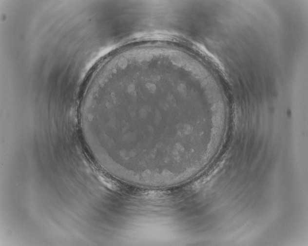 X0000088591166200706151729