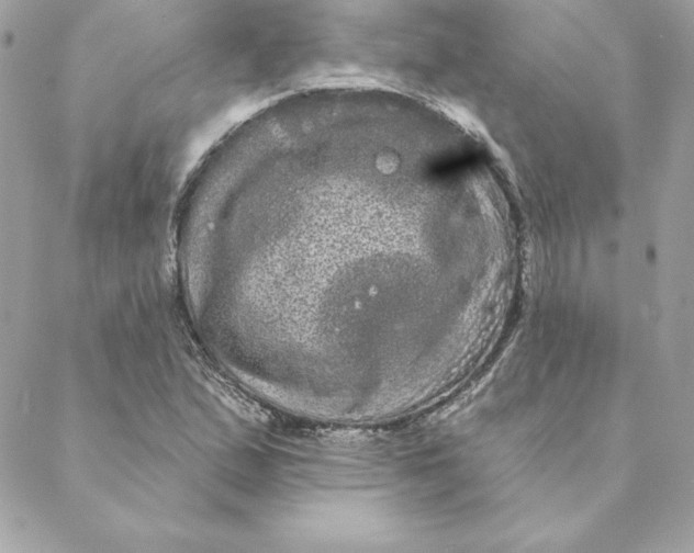 X0000088591167200706151729