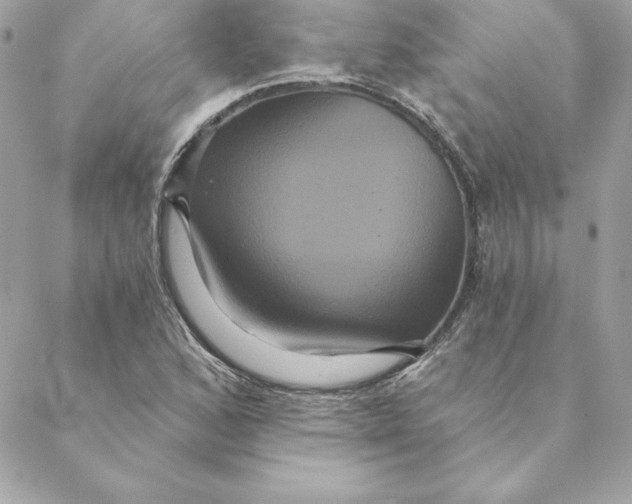 X0000088591168200706151729