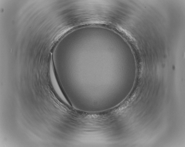 X0000088591169200706151729