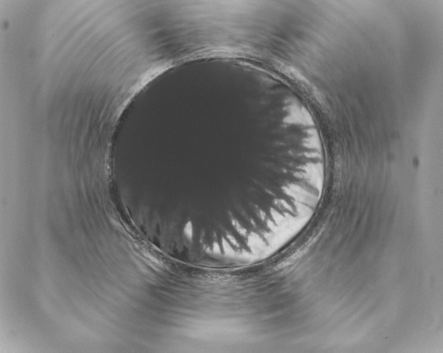 X0000088591170200706151729