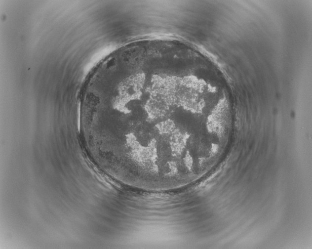 X0000088591171200706151729