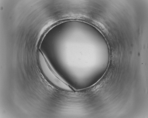 X0000088591172200706151729