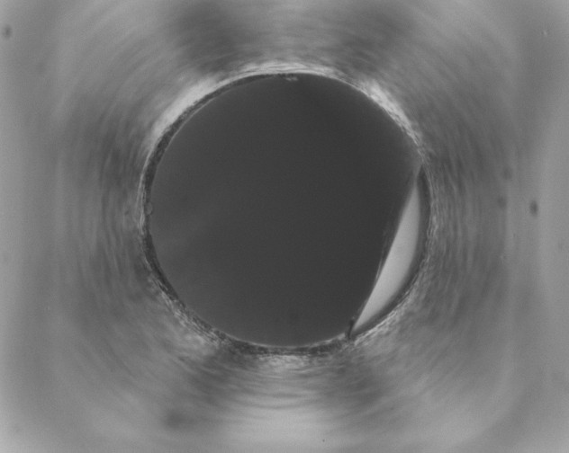 X0000088591173200706151729