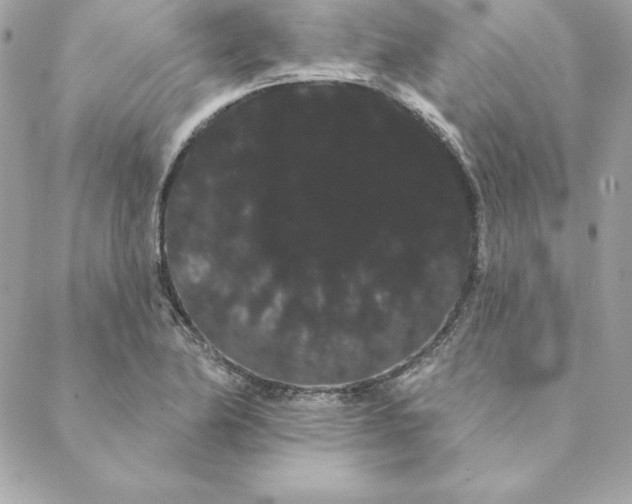 X0000088591174200706151729