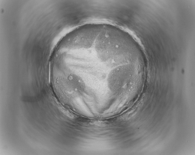 X0000088591175200706151729