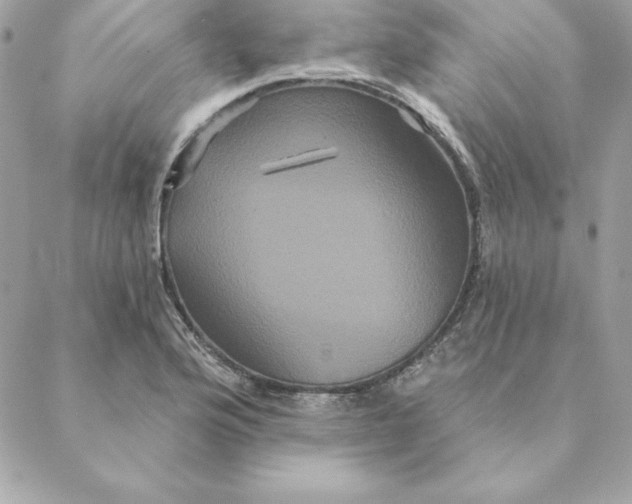 X0000088591176200706151729