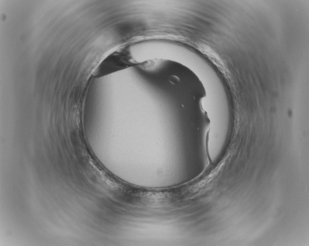 X0000088591177200706151729