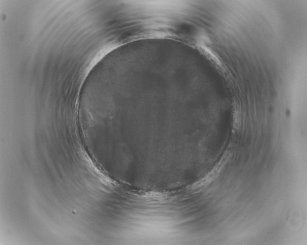 X0000088591178200706151729