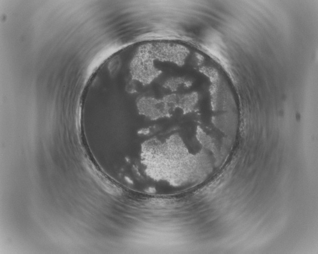 X0000088591179200706151729