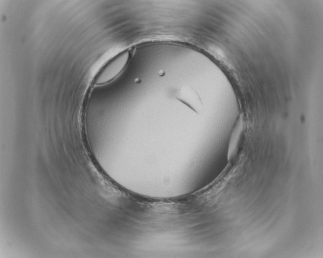 X0000088591181200706151729