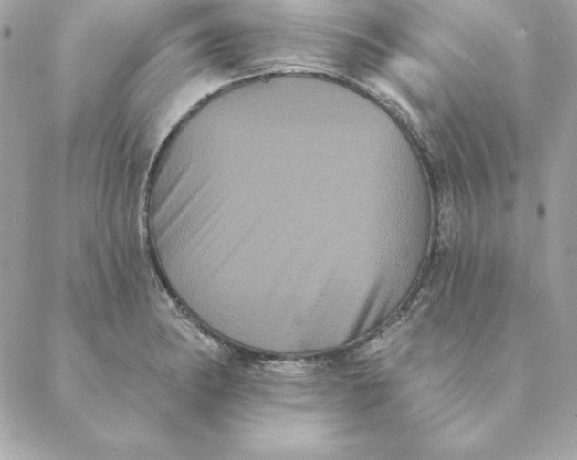 X0000088591182200706151729