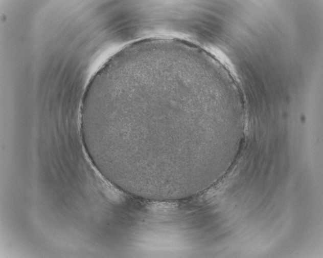 X0000088591183200706151729