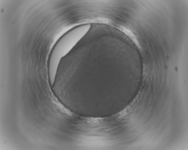 X0000088591184200706151729