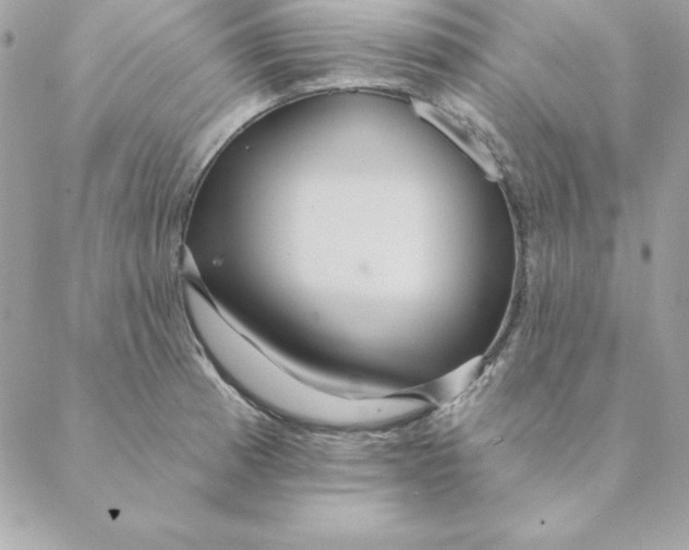 X0000088591185200706151729