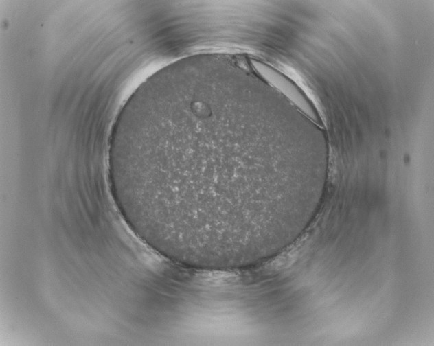 X0000088591187200706151729