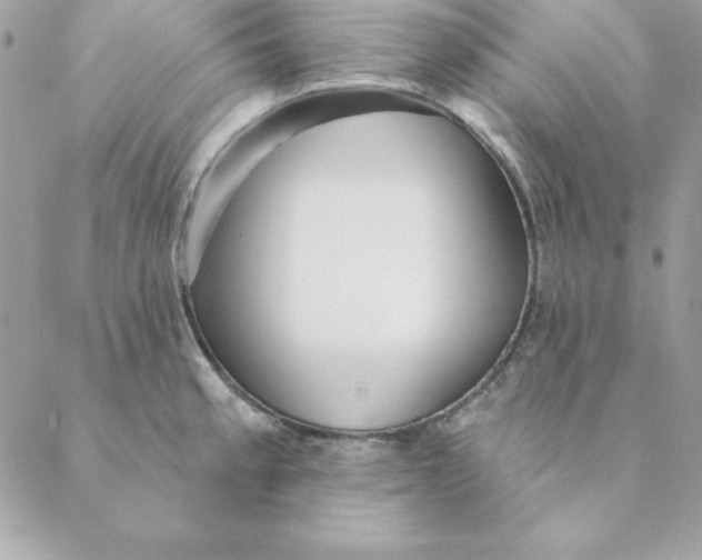 X0000088591189200706151729