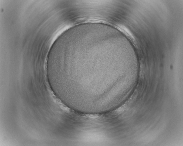 X0000088591190200706151729