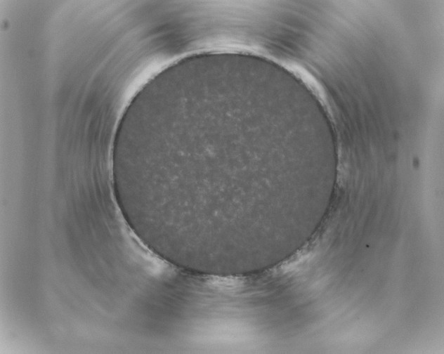 X0000088591191200706151729