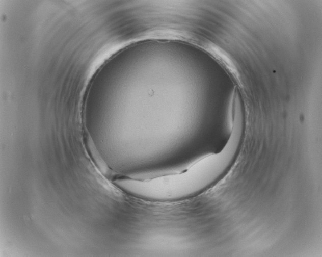 X0000088591192200706151729