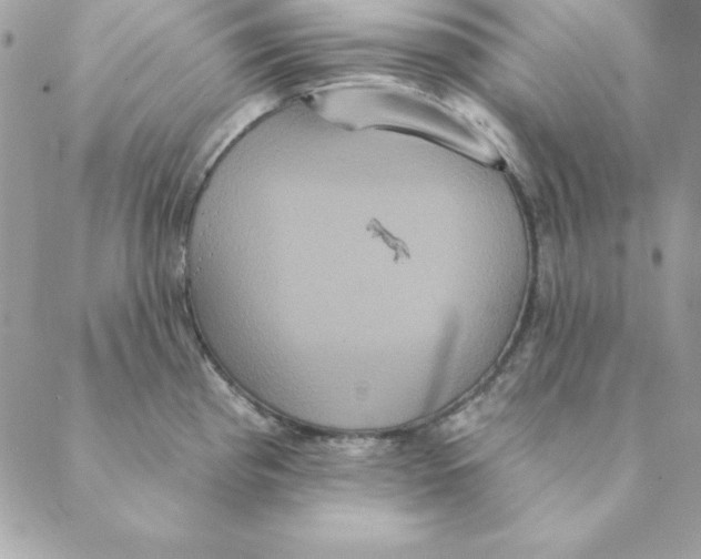 X0000088591193200706151728