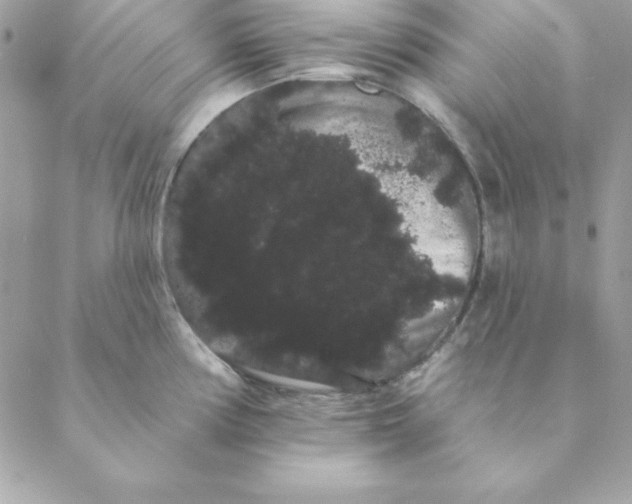 X0000088591194200706151728