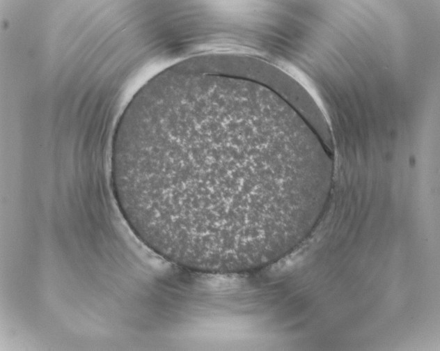 X0000088591195200706151728