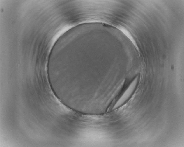 X0000088591197200706151728