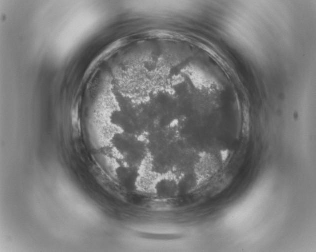 X0000088591198200706151728