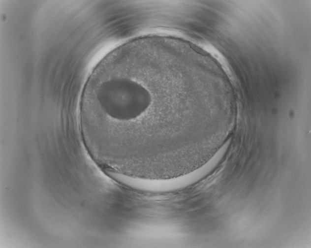 X0000088591199200706151728