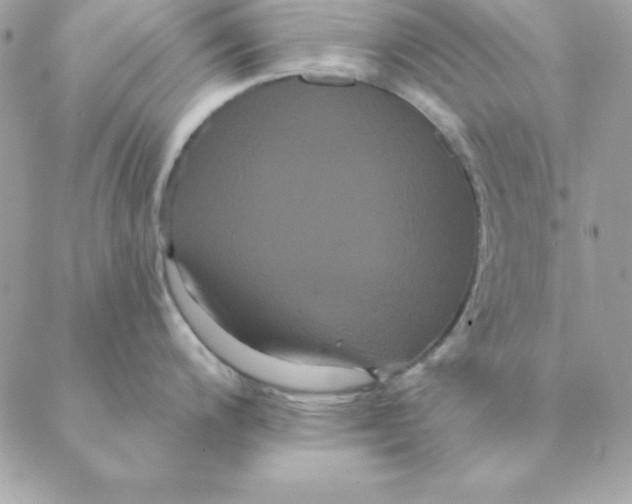 X0000088591200200706151728