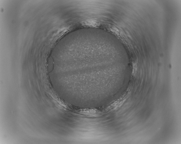 X0000088591201200706151728