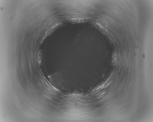 X0000088591202200706151728