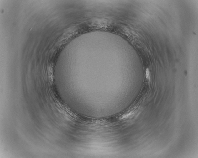 X0000088591203200706151728