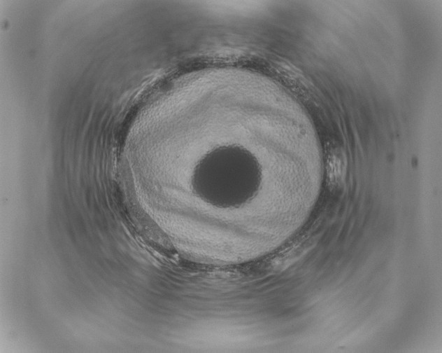 X0000088591204200706151728