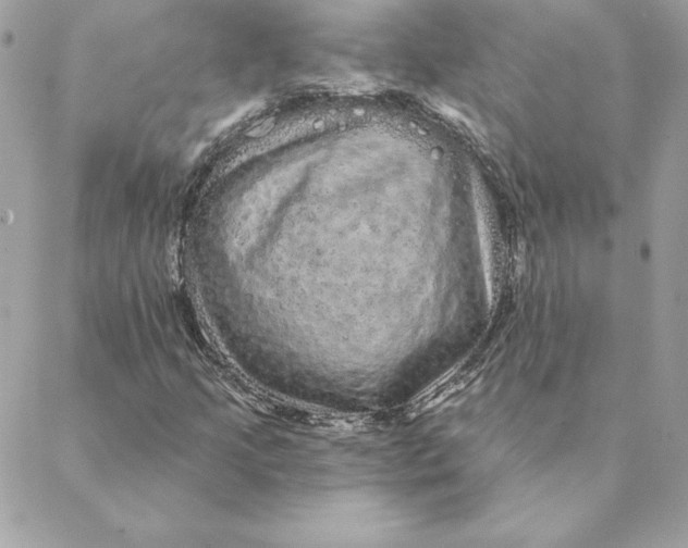 X0000088591205200706151728