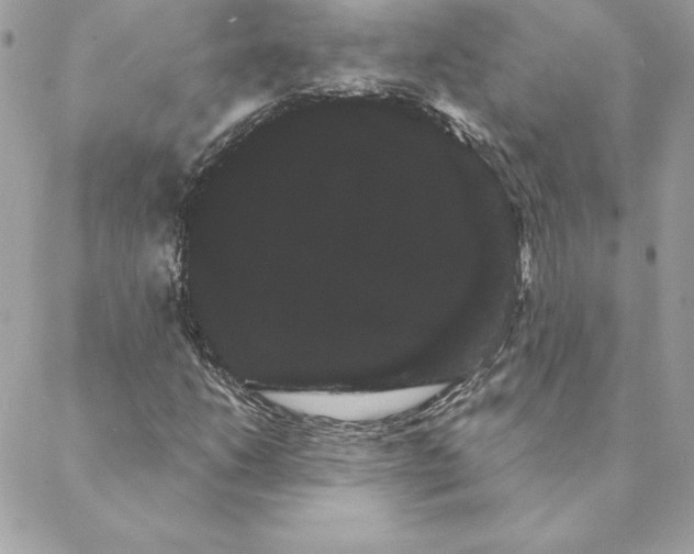 X0000088591206200706151728