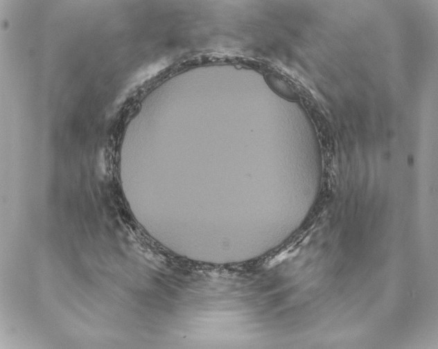 X0000088591207200706151728