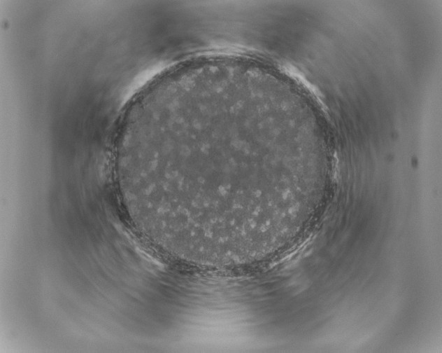 X0000088591208200706151728