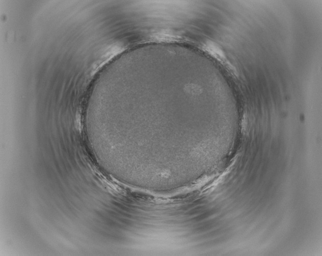 X0000088591209200706151728