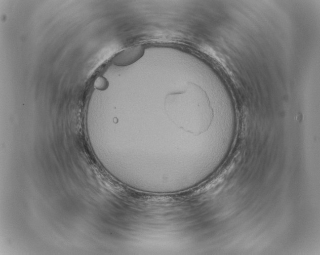 X0000088591211200706151728