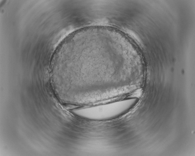 X0000088591212200706151728