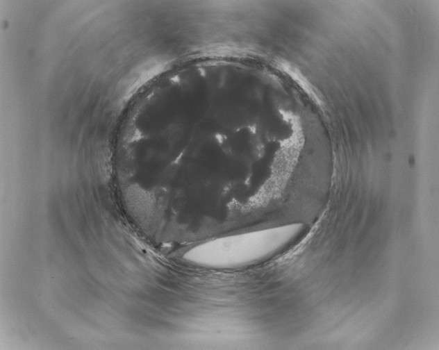 X0000088591213200706151728