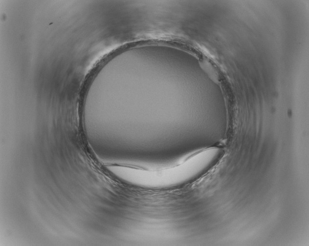 X0000088591214200706151728