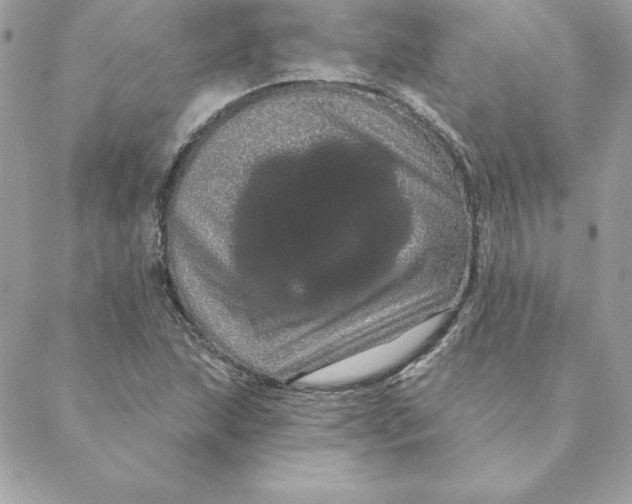 X0000088591215200706151728